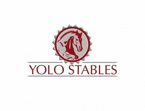 Visita la Pagina Facebook di Yolo Stables