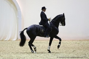 Guarda il breve video di Philippe Karl in una delle esibizioni con suo High Noon a Fiera Cavalli Verona 2016