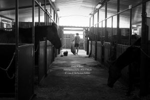 10619971_10152821171552347_3300035749826315133_o