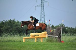 Bortolamei & Captain Cremin2