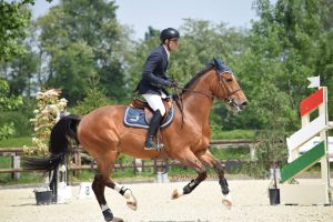 Borgia & Sir de La Grandiere (foto d'archivio)