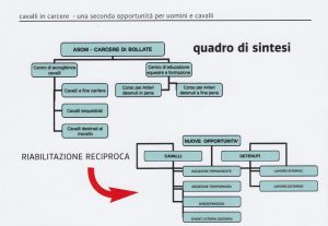 Quadro di sintesi attività ASOM