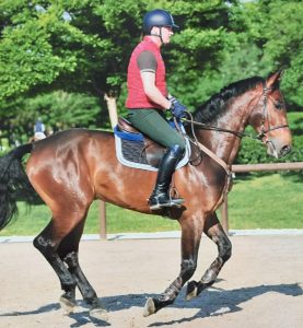 b7b325b0-0a7d-429a-8123-4e764013064b