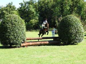 DSCN0433 (FILEminimizer)