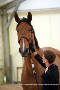 Filippo Bologni & Lishynsky