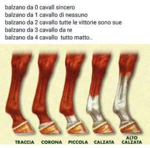 FB_IMG_1464894157056