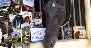 Voci per i cavalli 2016