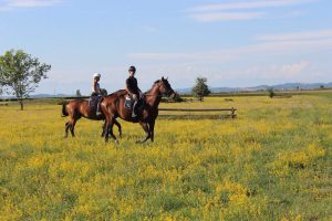 00e43f92-62d6-48ca-9113-71db0b510e9d