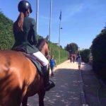 481af22a-b1a5-42e8-a733-d587e3ec8f9d