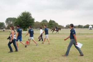 Vairano: Individual & Team Results dopo la prova di dressage (CICO3*, CCI3*, CIC2*) 1