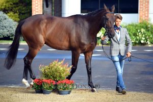 Completo: vi presentiamo Costanza Mantici, welcome in @CDCommunication! 1