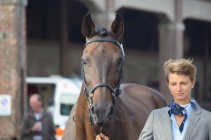 Completo: vi presentiamo Costanza Mantici, welcome in @CDCommunication! 2