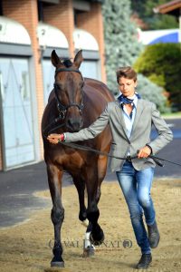 Completo: vi presentiamo Costanza Mantici, welcome in @CDCommunication! 3