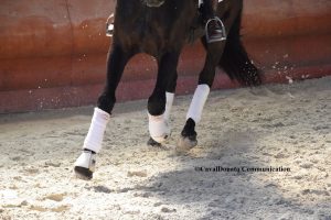 Con Eventing Italy: lavoro e accorgimenti degli eventers durante l'inverno 2