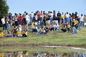 con Eventing Italy: tutti i risultati del Concorso Nazionale di Ravenna 1