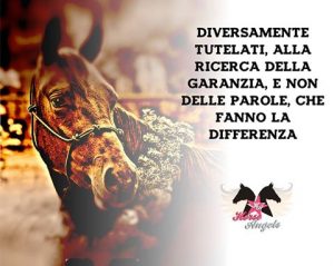 CDCommunication è Press Office di Horse Angels - Voci per i cavalli 2