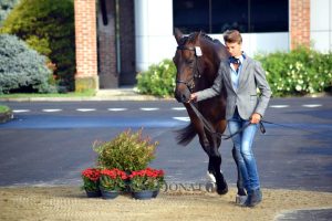 Completo: Costanza Mantici & Lord Aragorn AF ai Campionati Regionali Lazio - Seniores