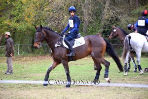 Completo: Costanza Mantici post Ravenna - CIC3*-CIC2* 7