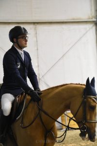Pietro Borgia / Lady Cracotte in evidenza al CSI3* - Milano Winter Show 4