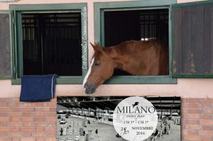 Salto Ostacoli: Milano Winter Show 2016 (CSI3* - CSI1*) al via 1
