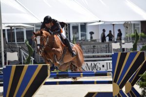 "Dimmi come monti, ti dirò chi sei": su alcuni temperamenti dei cavalieri 9