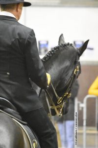 "Dimmi come monti, ti dirò chi sei": su alcuni temperamenti dei cavalieri 4