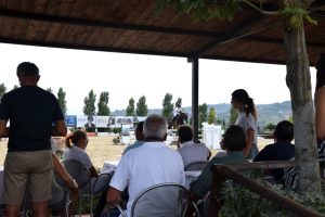 "Dimmi come monti, ti dirò chi sei": su alcuni temperamenti dei cavalieri 6