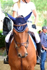 "Dimmi come monti, ti dirò chi sei": su alcuni temperamenti dei cavalieri 8