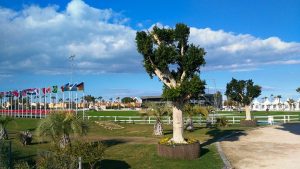 Bozza automatica 112