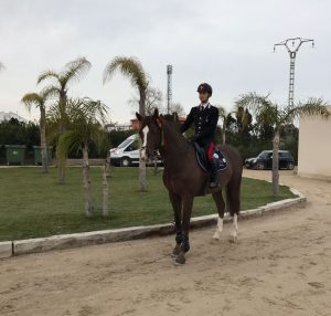 Bozza automatica 134