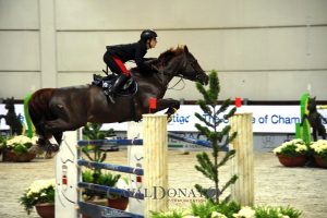 Lo stallone Quidich De La Chavee garantito per Filippo Bologni