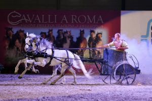 Bozza automatica 141