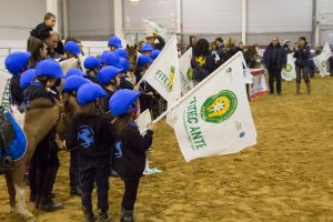 Bozza automatica 144