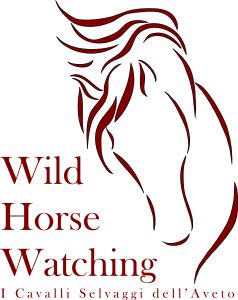 Bozza automatica 166