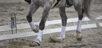 La sobbattitura, trauma che determina zoppia: che cos'è e cosa fare