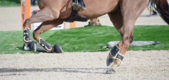 Qualità del terreno di lavoro e salute del cavallo: alcune considerazioni