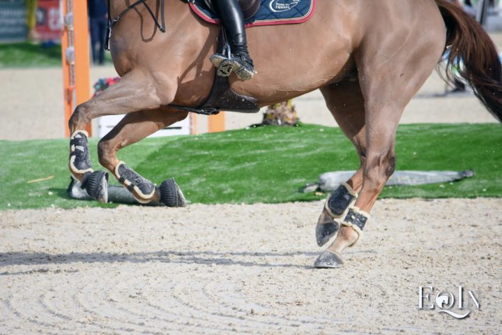 Qualità del terreno di lavoro e salute del cavallo: alcune considerazioni