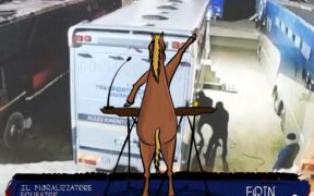 Furti in concorso, ma vuoi vedere che non si riescono a debellare! | Il Moralizzatore Equestre