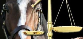 Diritto Equestre, la parola all'Avv. Viti: "tanti problemi legali sono spesso causati dalla mancata prevenzione"