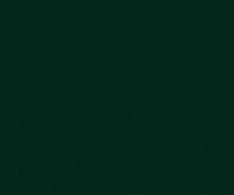 mascheroniselleria 336x280 1