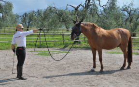 Aperte le iscrizioni al workshop del 9 e 10 marzo 2019 sul Garda