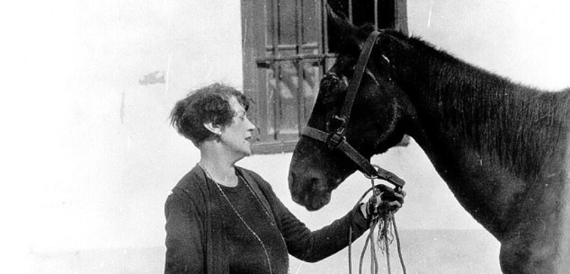 Doroty Brooke: l' angelo custode dei War Horses