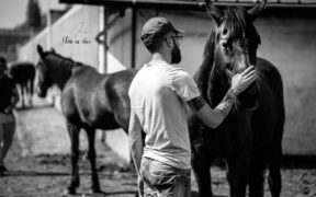 Felice esito per Cavalli in Carcere e Asiland finanziati dal crowdfunding Eppela