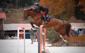 Inno di Mameli! Filippo Bologni vince il Grand Prix (Villeneuve-Loubet CSI*)