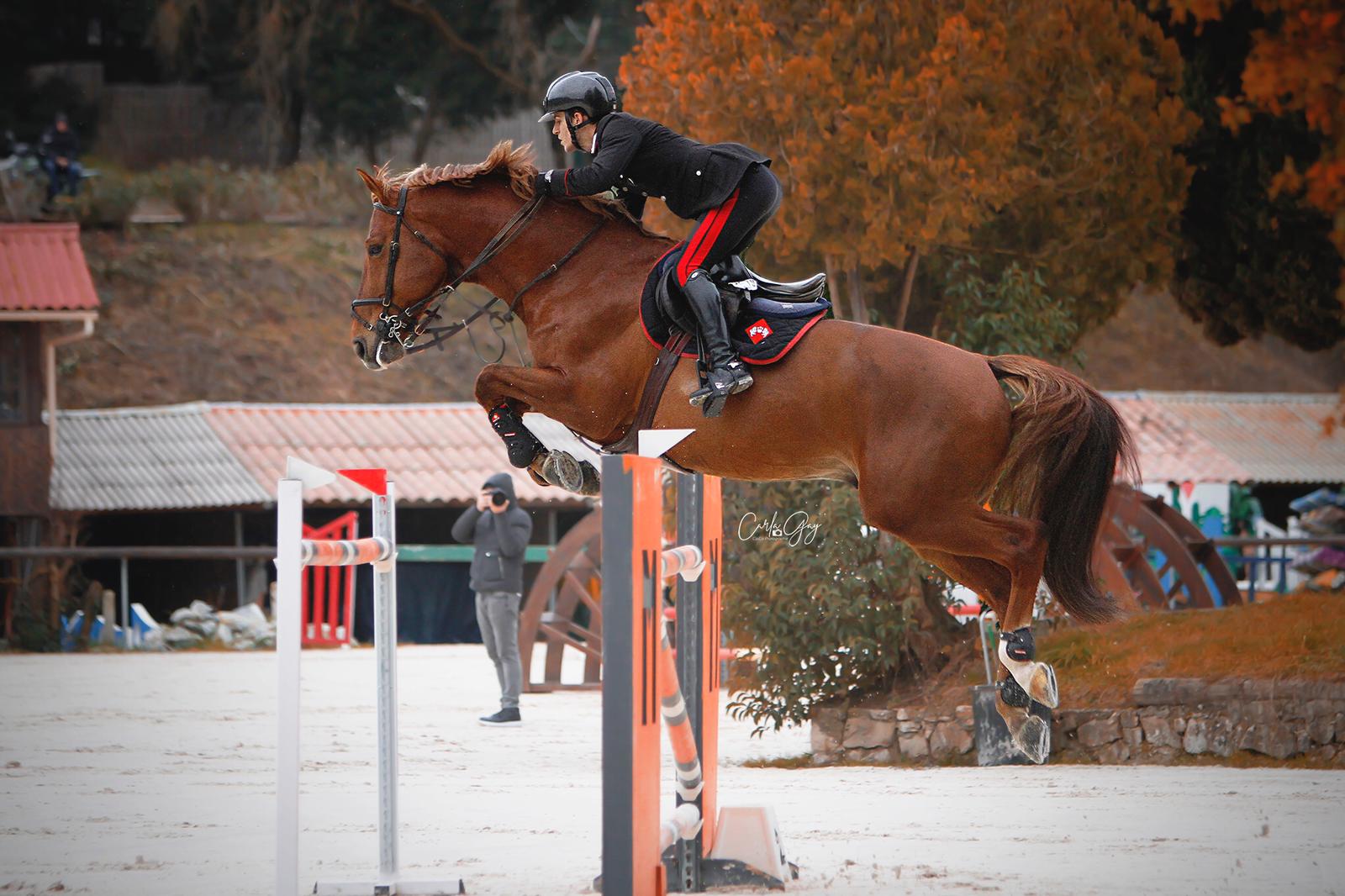 Inno di Mameli! Filippo Bologni vince il Grand Prix (Villeneuve-Loubet CSI*)