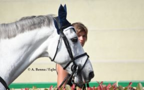 Quando considerare anziano il cavallo?