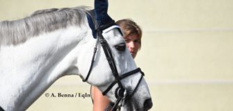 Quando considerare anziano il cavallo?