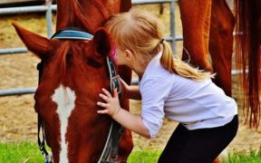 A.A.A. ricercarsi aiuti per Ippoterapia per bimbi malati oncologici 1