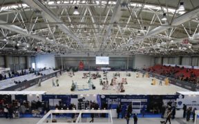 A "Cavalli a Roma" inizia oggi il salto ostacoli internazionale 2