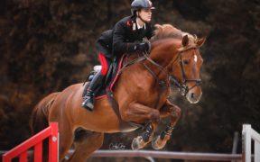 Bologni e Diplomat sfidano il diluvio (video) e vincono la Ranking di Villeneuve-Louber (CSI2*-W)